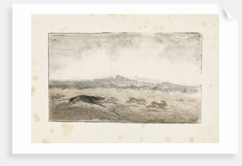 Hare Hunt by Johannes Tavenraat