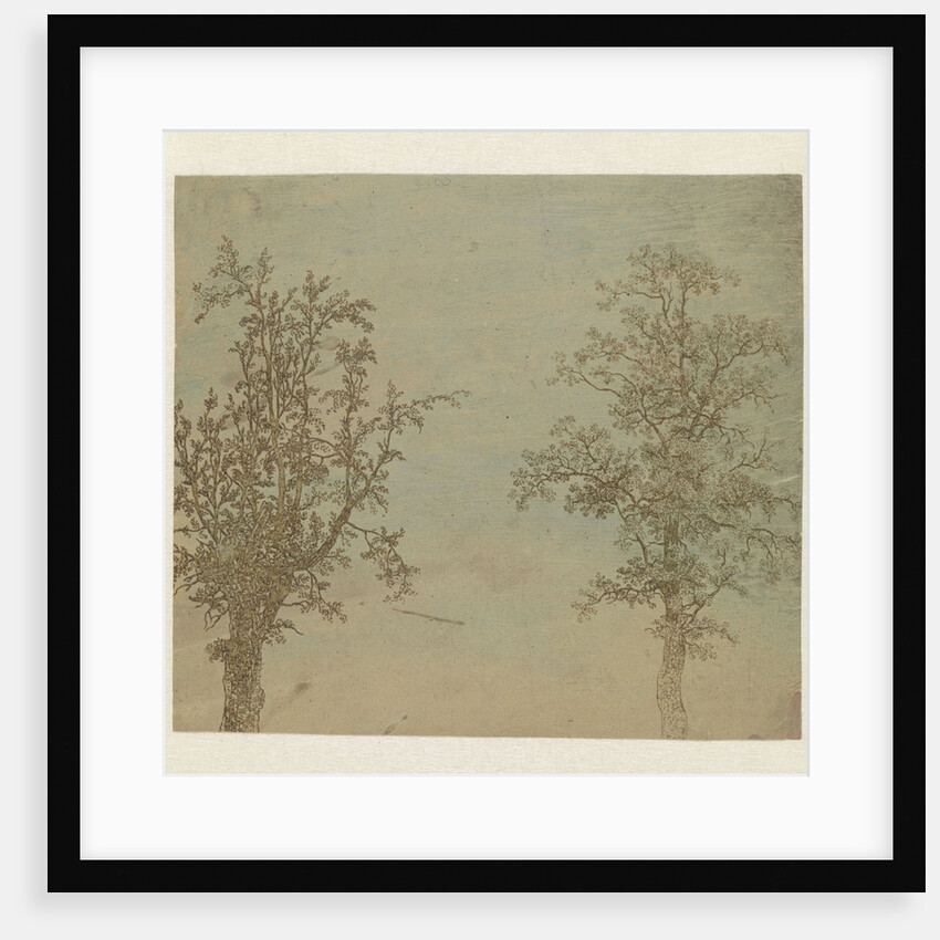 The two trees by Hercules Segers