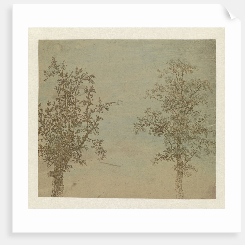 The two trees by Hercules Segers