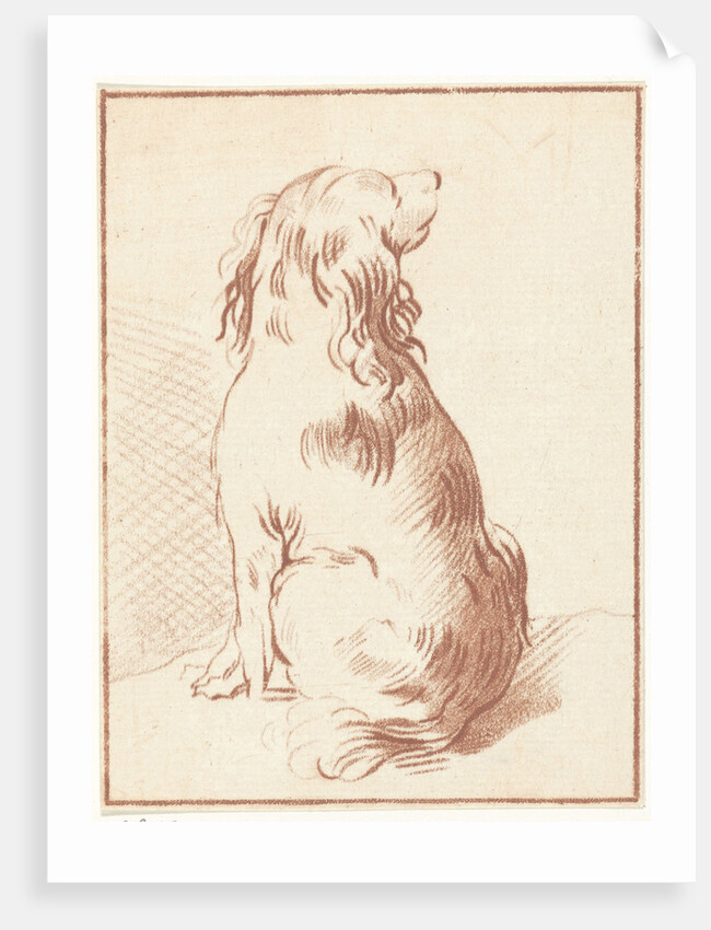 Sitting dog by Aert Schouman