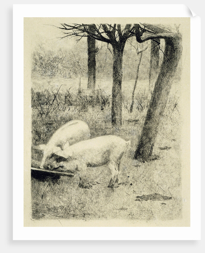 Two pigs in a trough by Willem Witsen