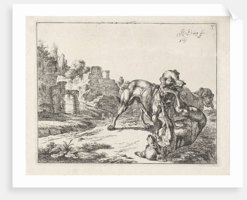 Fighting dogs by Johan le Ducq