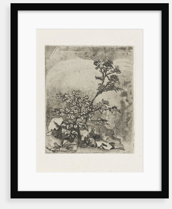 Two plants and a frog by Martinus Antonius Kuytenbrouwer Jr
