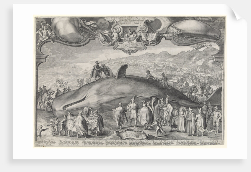 Stranded whale at Beverwijk by Jan Saenredam