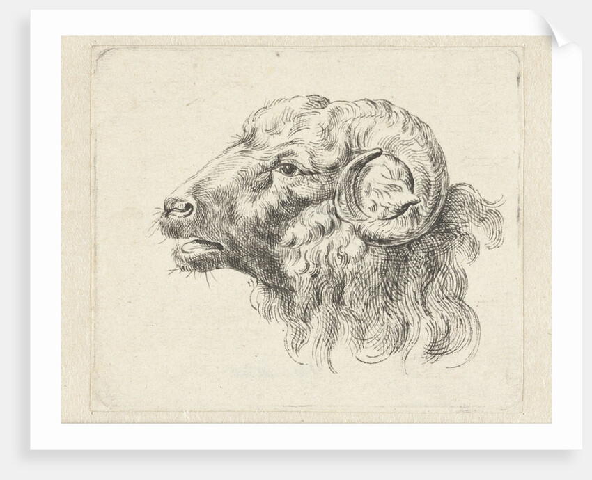 Rams head by Abraham Delfos