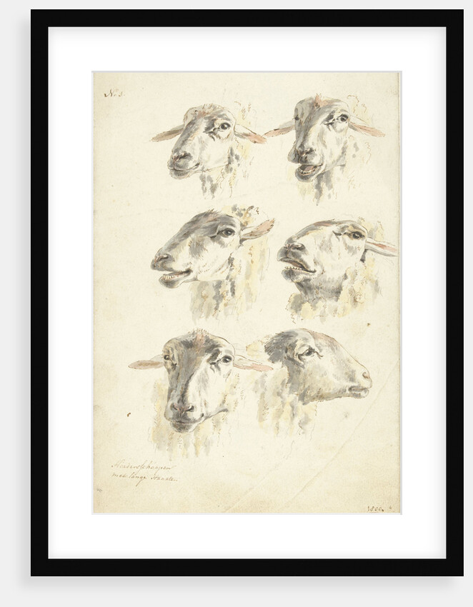 Study Sheet with six sheep heads by Franciscus Andreas Milatz