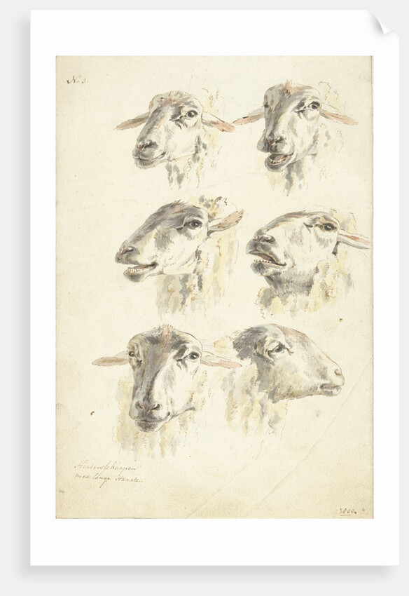 Study Sheet with six sheep heads by Franciscus Andreas Milatz