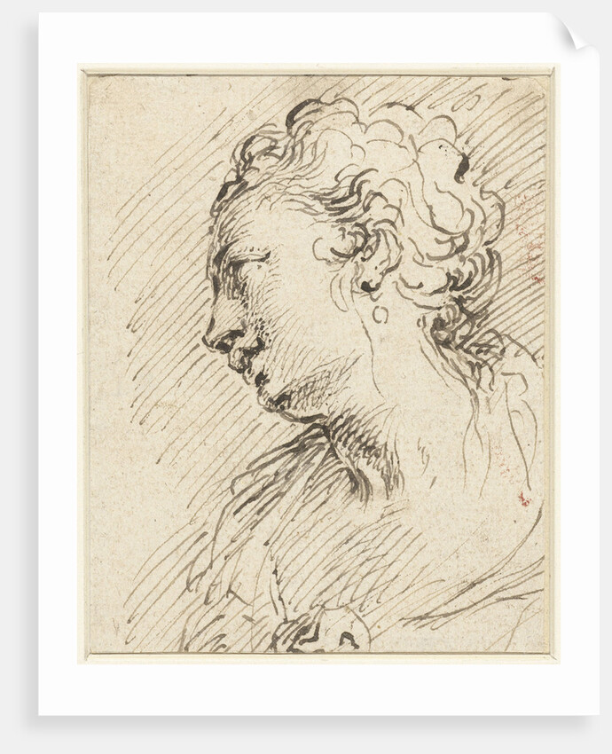 Head of a woman by Pietro Antonio III Novelli