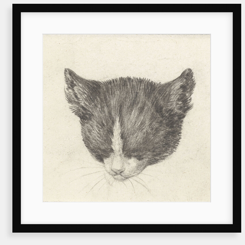 Cat by Jean Bernard