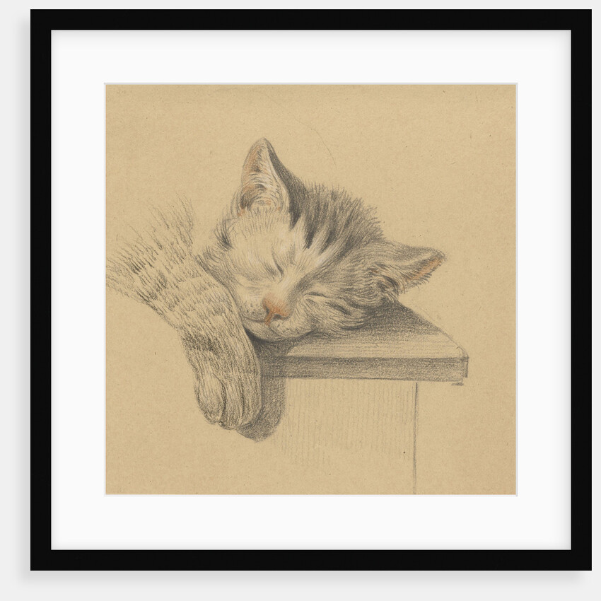A sleeping cat by Jean Bernard