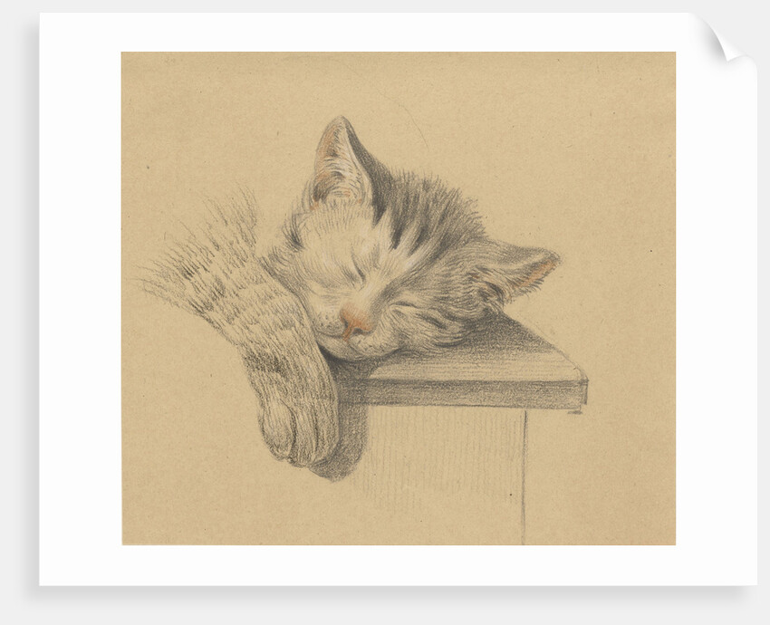 A sleeping cat by Jean Bernard