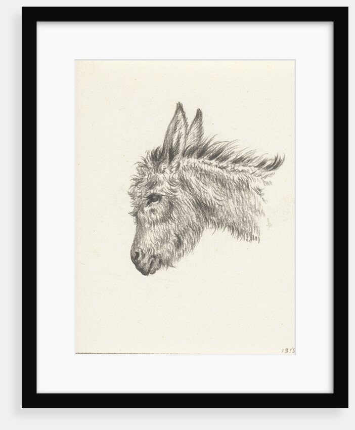 Head of a donkey by Jean Bernard