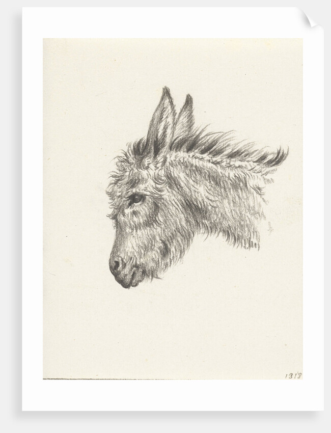 Head of a donkey by Jean Bernard