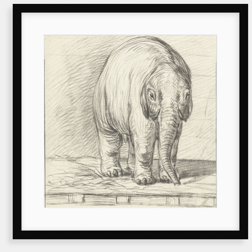 Standing elephant by Jean Bernard