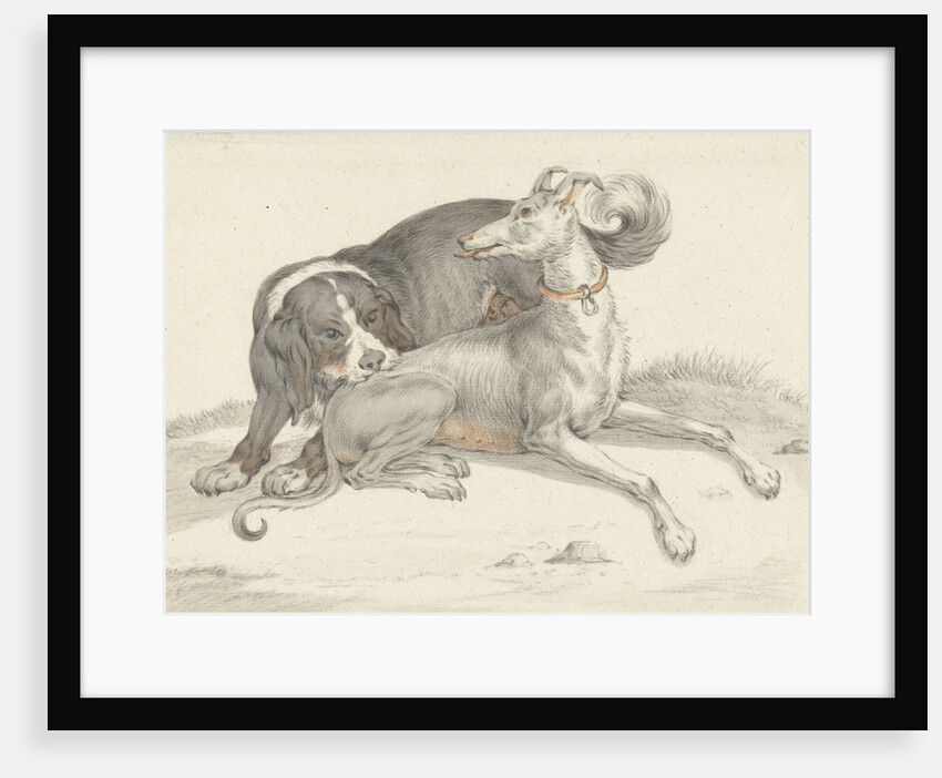 A dog bites another dog by Jean Bernard