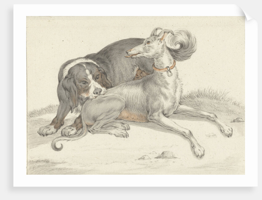 A dog bites another dog by Jean Bernard