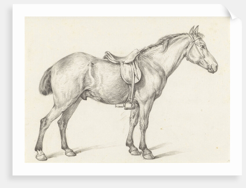 Standing horse by Jean Bernard