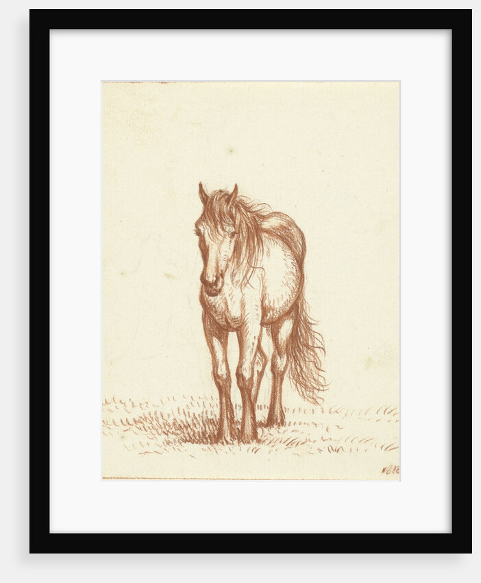 Horse by Jean Bernard