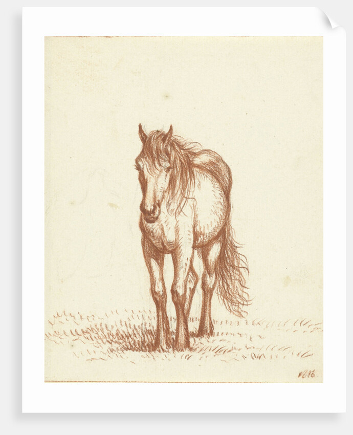 Horse by Jean Bernard