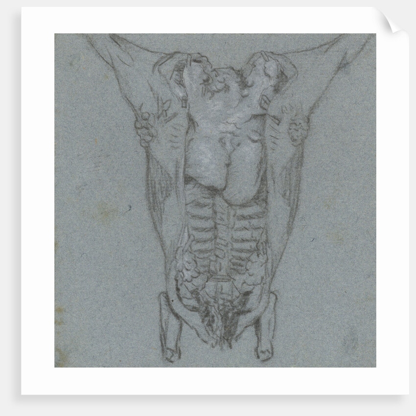 Hanging slaughtered animals by Jordanus Hoorn