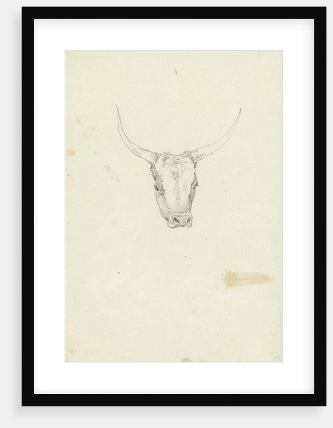 Bovine head by Hendrik Voogd