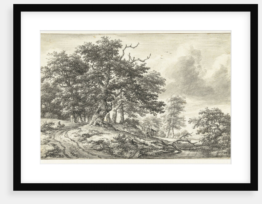 Wooded Landscape with large tree by Jacob Isaacksz. van Ruisdael