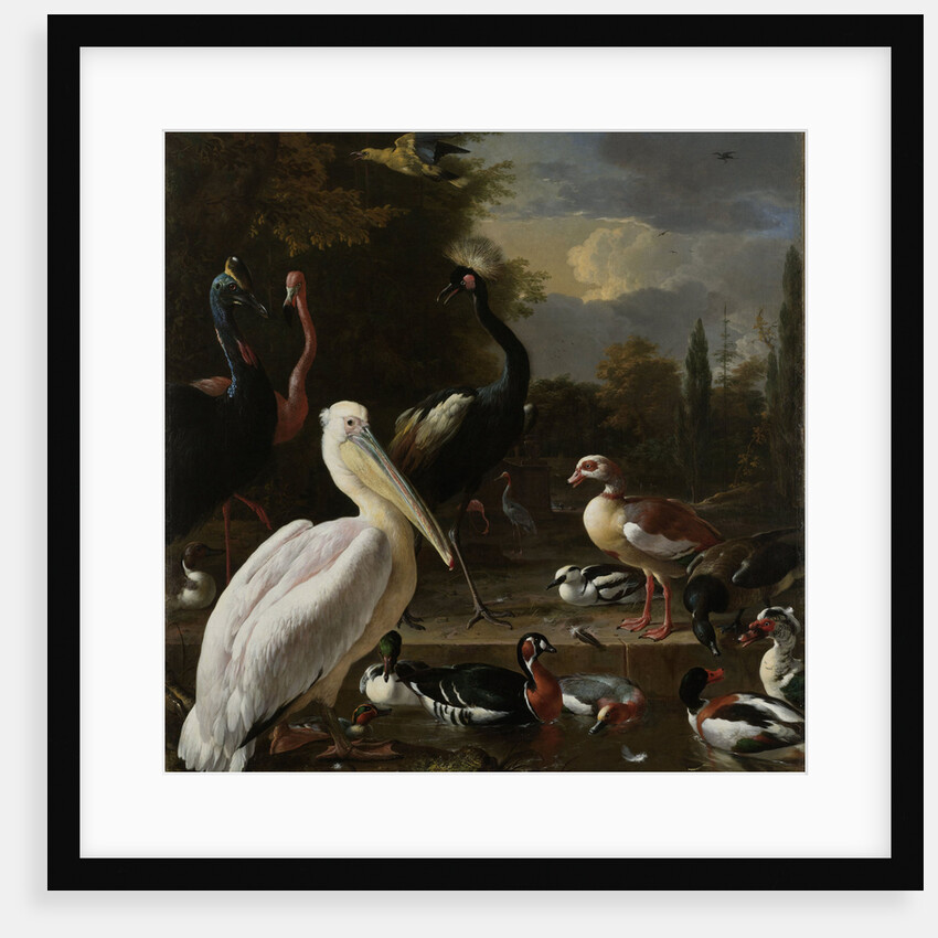 A Pelican and other Birds near a Pool by Melchior d' Hondecoeter