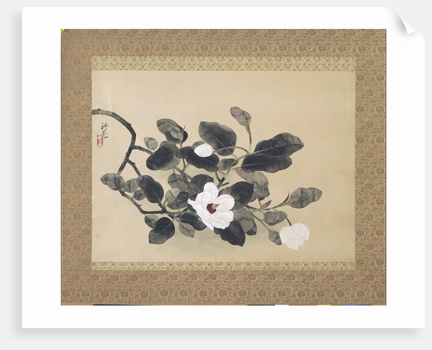 Scroll Painting with magnolia by Yamamura Kôka