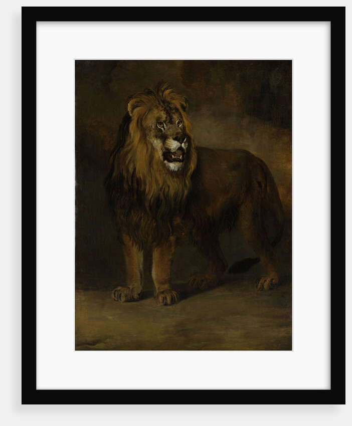 Lion, from the Menagerie of Napoleon III, Emperor of the French, 1808 by Pieter Gerardus van Os