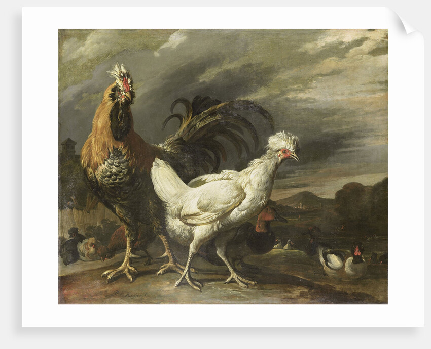 Cock, a Hen and other Poultry by Pieter Jansz. van Ruyven