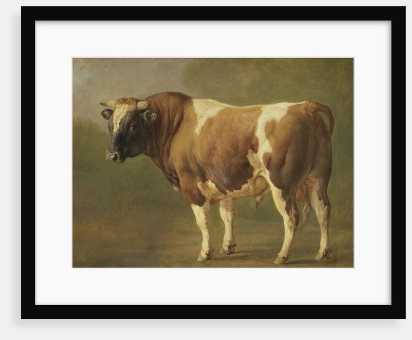 Study of a Bull by Jacques Raymond Brascassat