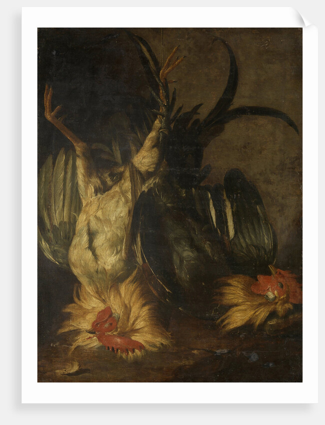 Dead roosters by Christoffel Puytlinck