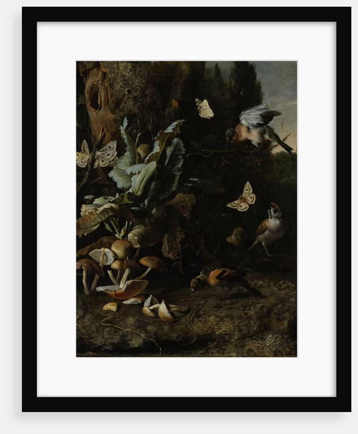 Animals and Plants by Melchior d' Hondecoeter