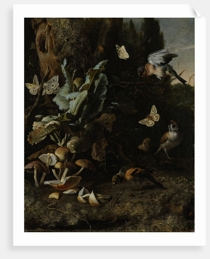 Animals and Plants by Melchior d' Hondecoeter