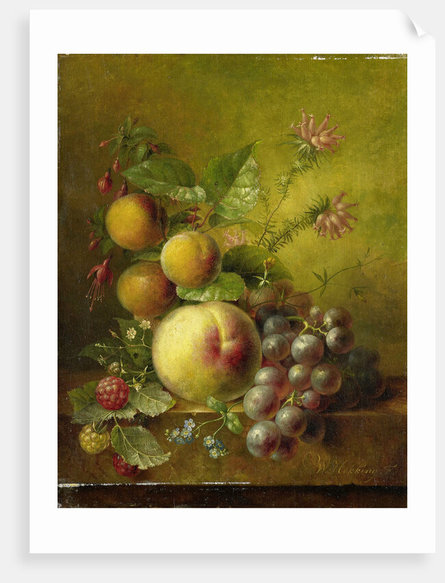 Stilleven met vruchten by Willem Hekking I