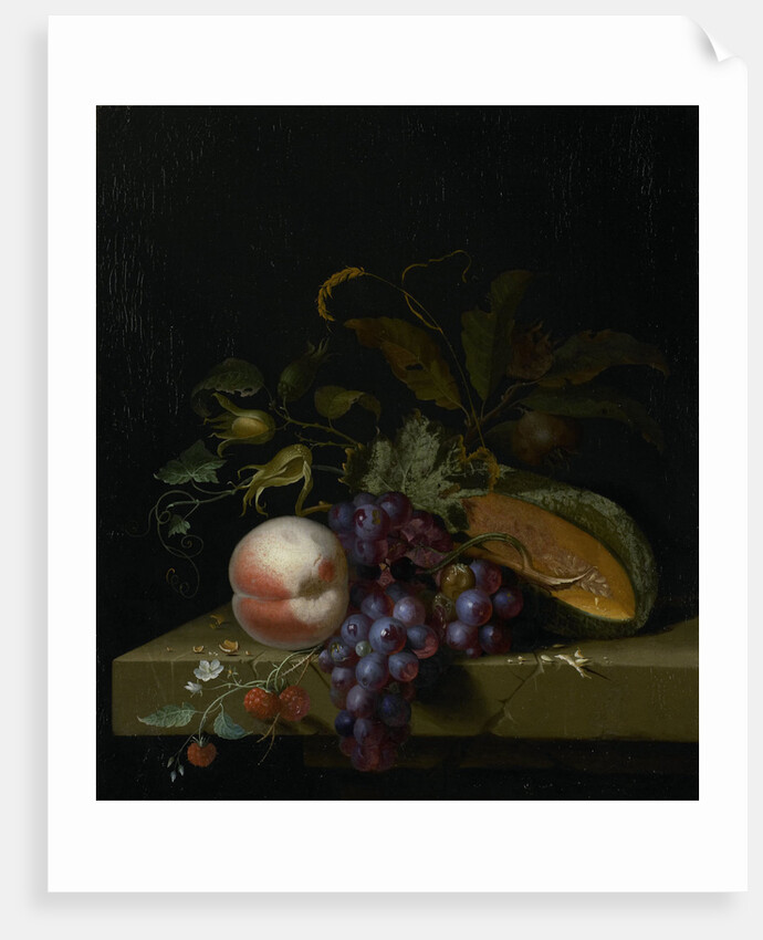 Still Life with Fruit by Pieter Gallis