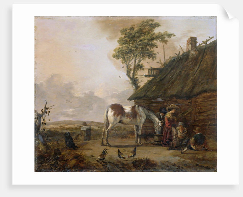 A Piebald Horse by Jan Wouwerman