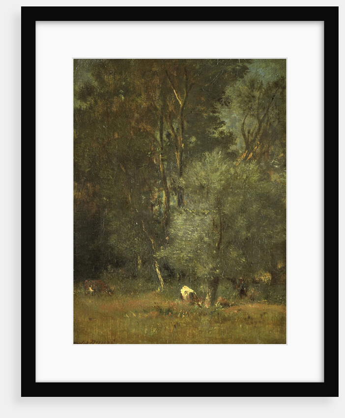 Forest scene by Jules Dupré