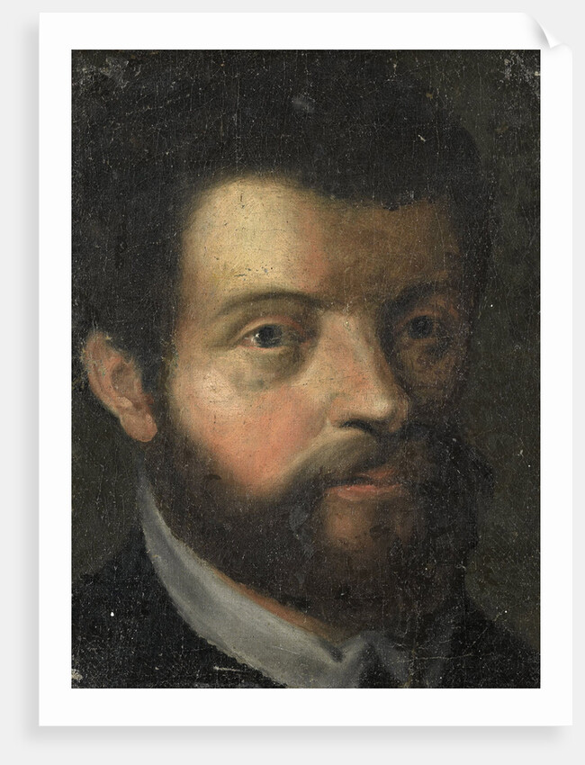 Portrait of a Man by Anonymous