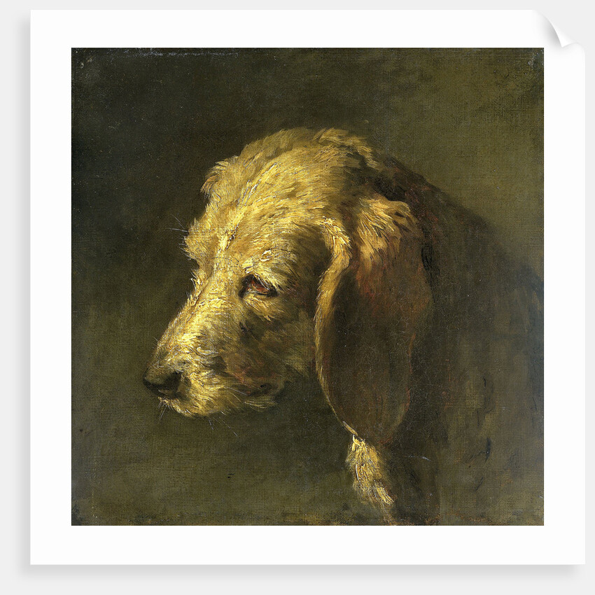 Head of a Dog by Nicolas Toussaint Charlet