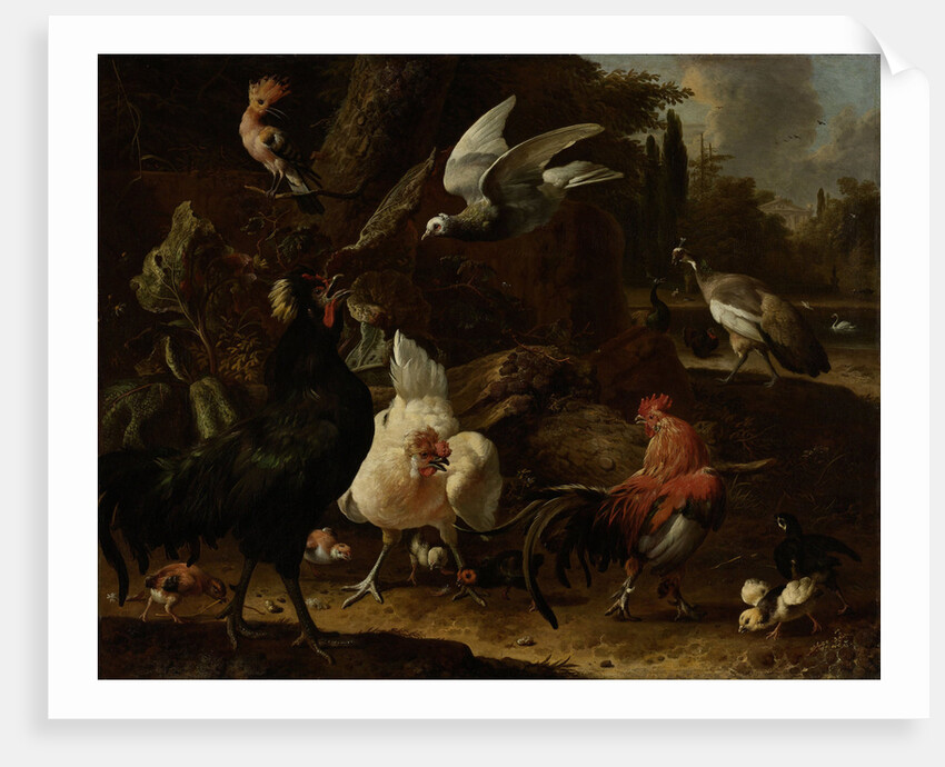 Birds in a Park by Melchior d' Hondecoeter