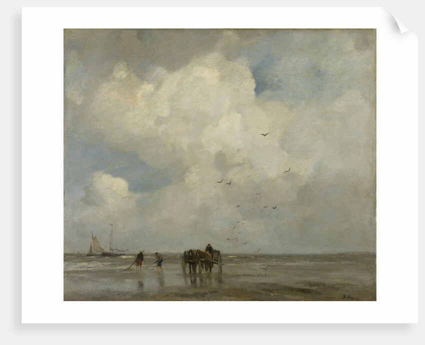 Shells Fish by Jacob Maris