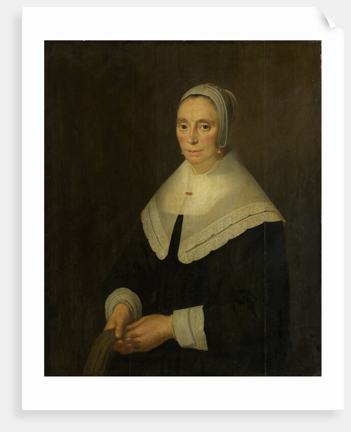 Portrait of a Woman by Hendrick Cornelisz. van Vliet