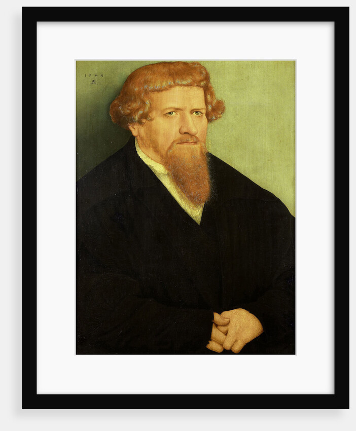 Portrait of a Man by Lucas Cranach II