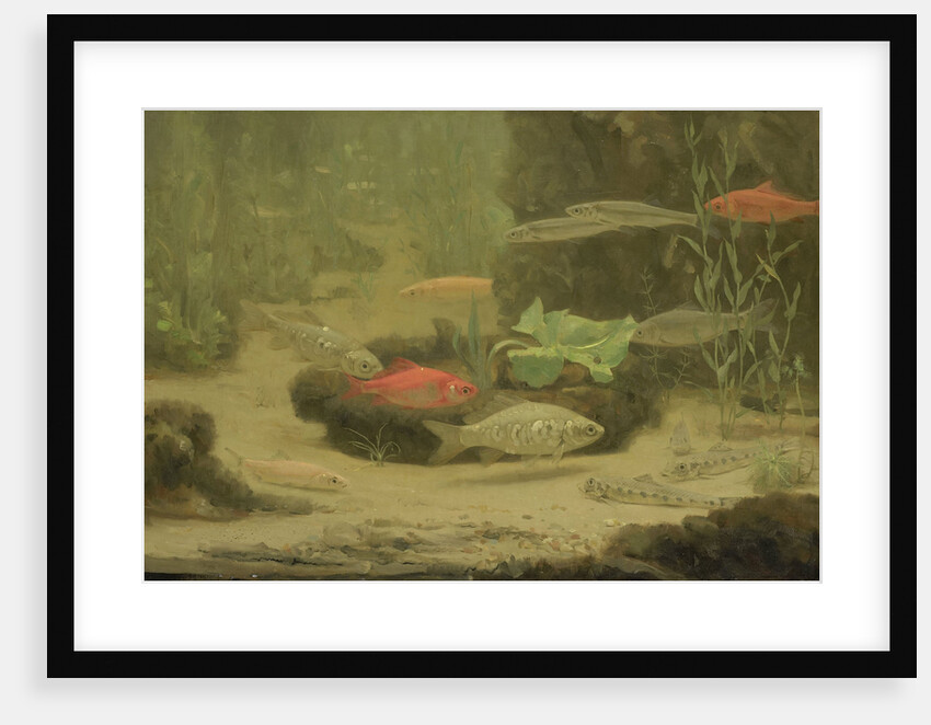 Gold and silver fish in an aquarium by Gerrit Willem Dijsselhof