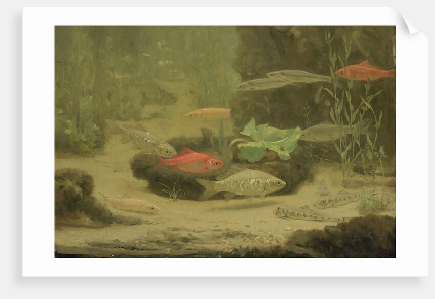 Gold and silver fish in an aquarium by Gerrit Willem Dijsselhof