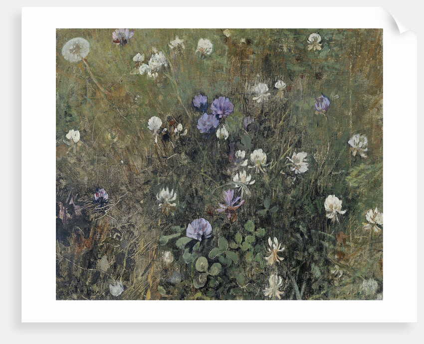 Clover flowers by Jac van Looij