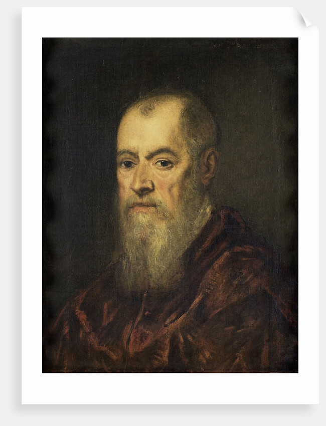 Portrait of a Man with a Red Cloak by Jacopo Tintoretto