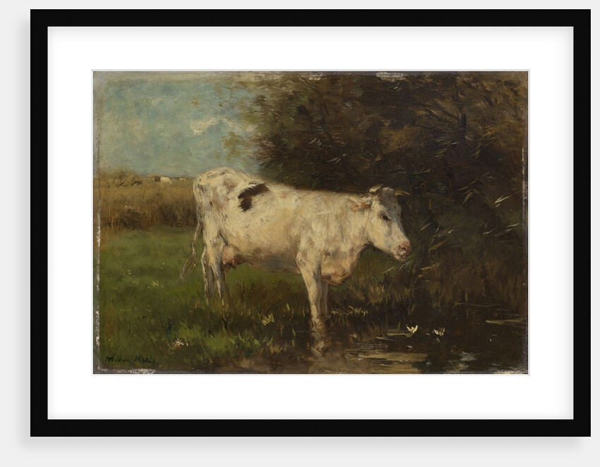 White Cow by Willem Maris