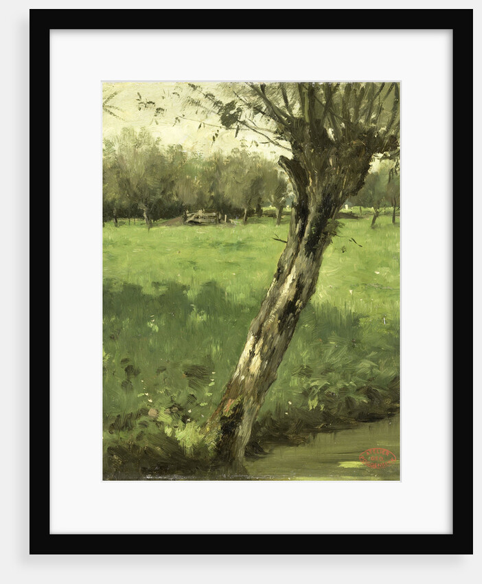 Willow by Geo Poggenbeek